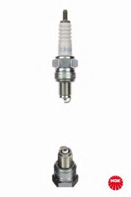 Spark Plug
