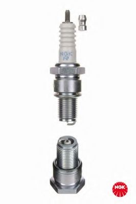 Spark Plug