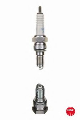 Spark Plug