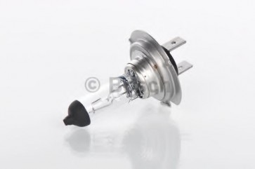 Bulb