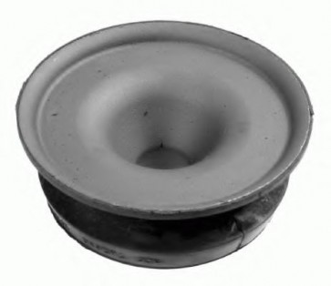 Top Strut Mounting