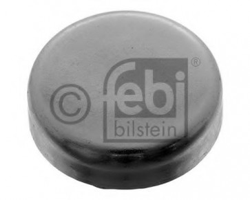 Frost Plug