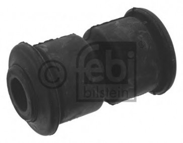 Bush, leaf spring