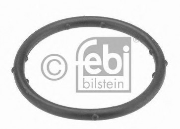 Gasket, coolant flange