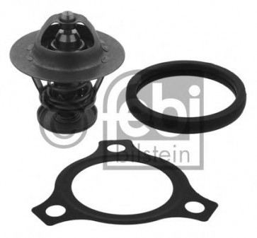 Thermostat, coolant