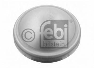 Cap, wheel bearing