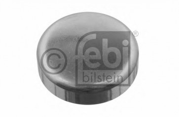Frost Plug