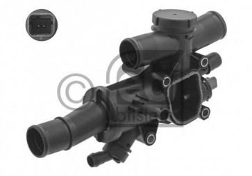 Thermostat, coolant