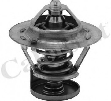 Thermostat, coolant