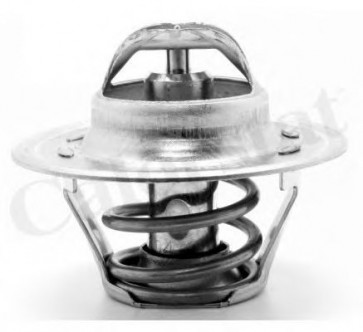Thermostat, coolant