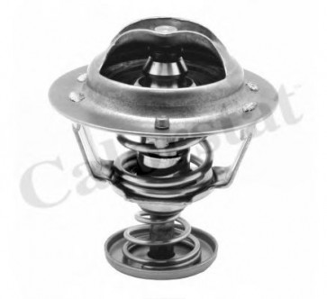 Thermostat, coolant
