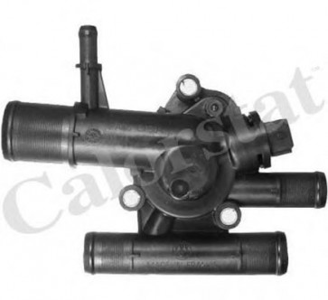 Thermostat, coolant