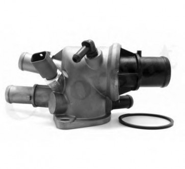 Thermostat, coolant