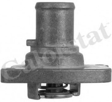 Thermostat, coolant
