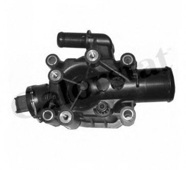 Thermostat, coolant