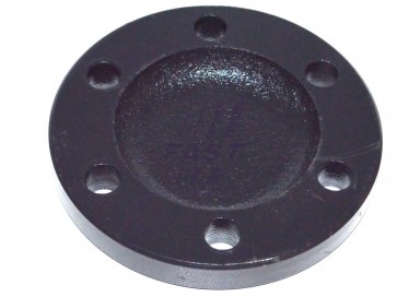 WHEEL BEARING CAP IVECO DAILY 00>