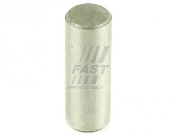 PLANET WHEEL PIN IVECO DAILY 00> SHORT