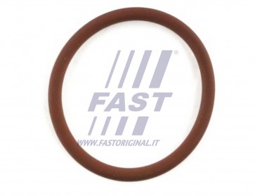 SEAL IVECO DAILY 00> HEAT EXCHANGER VALVE 18.77X1.78