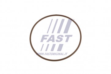 WATER PUMP GASKET FIAT DUCATO 06>