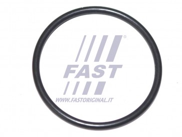 ORIGINAL O-RING IVECO