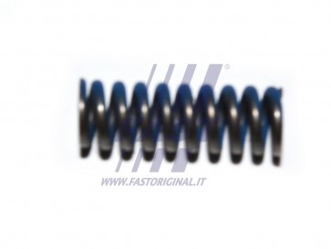 SPRING IVECO DAILY 00> SYNCHRONIZER
