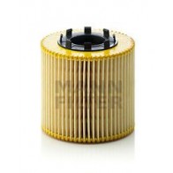 OIL FILTER RENAULT MASTER 98> 2.2DCI/2.5DCI -06