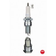 Spark Plug