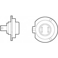 BULB - 12V H7 55W PX26d