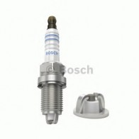 Spark Plug