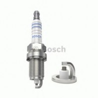 Spark Plug