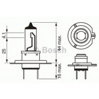 Bulb, spotlight; Bulb, headlight; Bulb, fog light