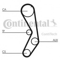 Timing Belt Kit