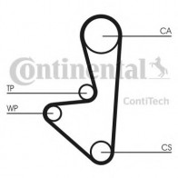 Timing Belt Kit