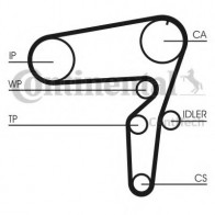 Timing Belt Kit