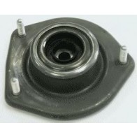 Top Strut Mounting
