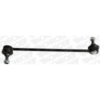 Rod / Strut, stabilize