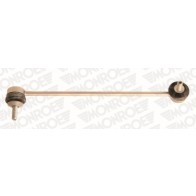 Rod/Strut, stabiliser