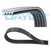 V-Ribbed Belts