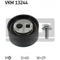 Tensioner Pulley, timing belt