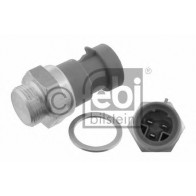 Temperature Switch, radiator fan