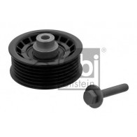 Deflection/Guide Pulley, v-ribbed belt