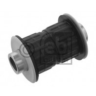 Mounting, leaf spring