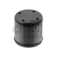 Plunger, high pressure pump