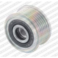Alternator Freewheel Clutch
