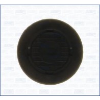 Gasket / Seal