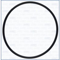 SEAL IVECO DAILY 06> WATER PUMP DUŻY 3.53X94.84