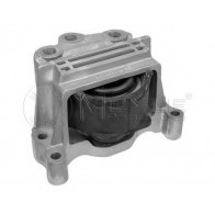 Engine Mounting