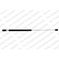 Gas Spring, boot-/cargo area