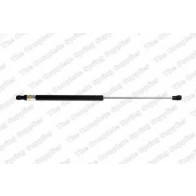 GAS PRESSURE STRUT FIAT PANDA 03> TRUNK