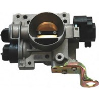 Throttle body